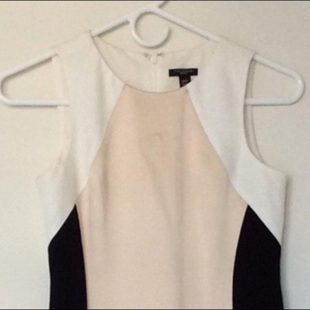 Ann Taylor sleeveless dress (NWOT)